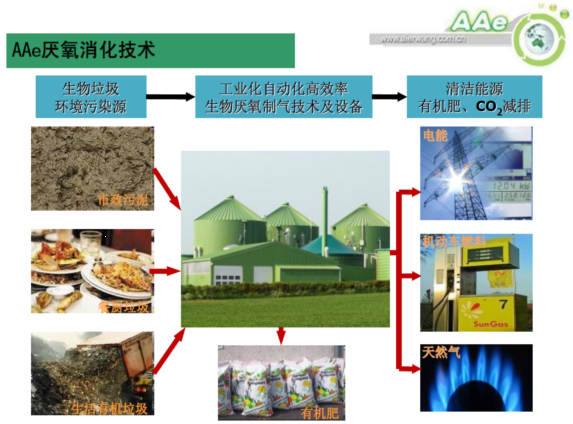 污泥协同厌氧消化